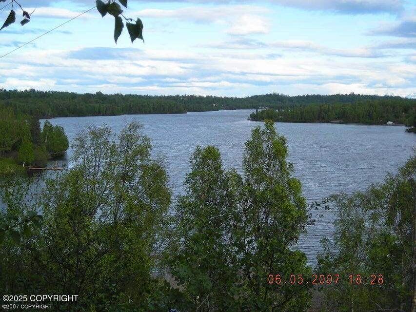000 Daniels Lake - Photo 1