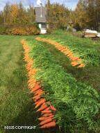 6991 Connect Court - Photo 116