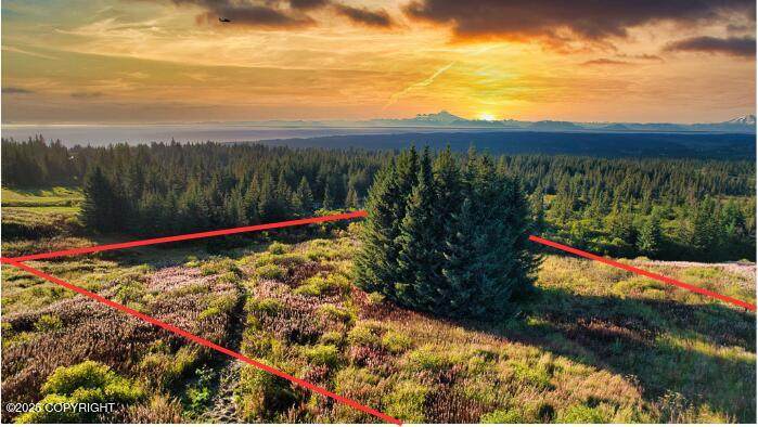 Tract 5 Tice Acres Sub - Photo 1