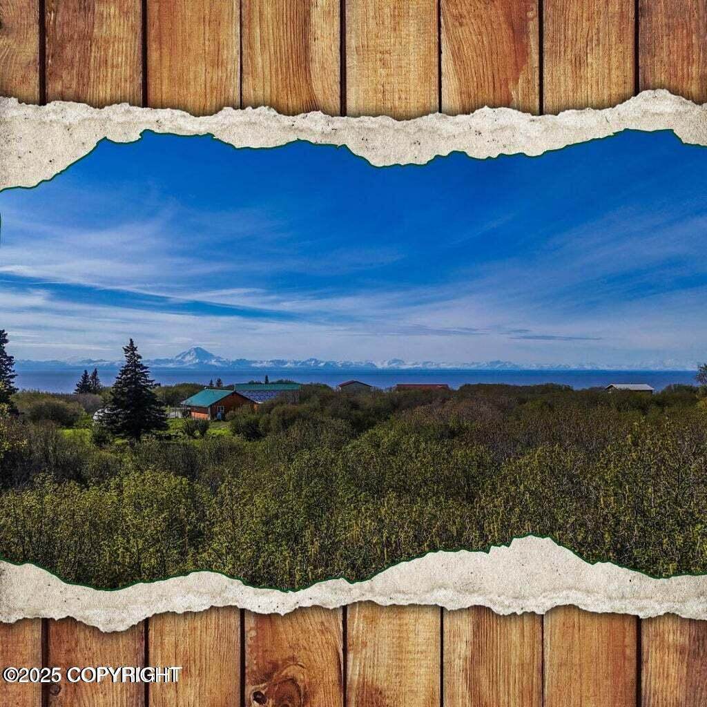 10505 Sterling Highway - Photo 1