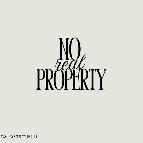 No Real Property - Photo 1