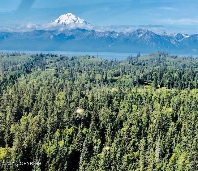 L22 Kalgin Island Estates - Photo 1