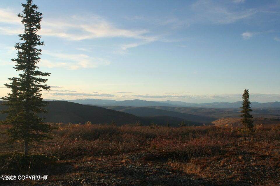 000 No Road - Photo 1