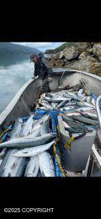 1204 2nd Street - Photo 7