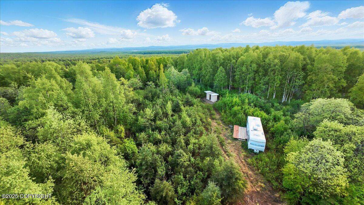 15946 Willow Fishhook Road - Photo 1