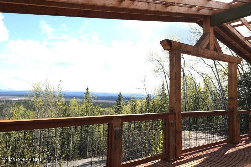 60.5 Tok Cut Off Highway - Photo 1