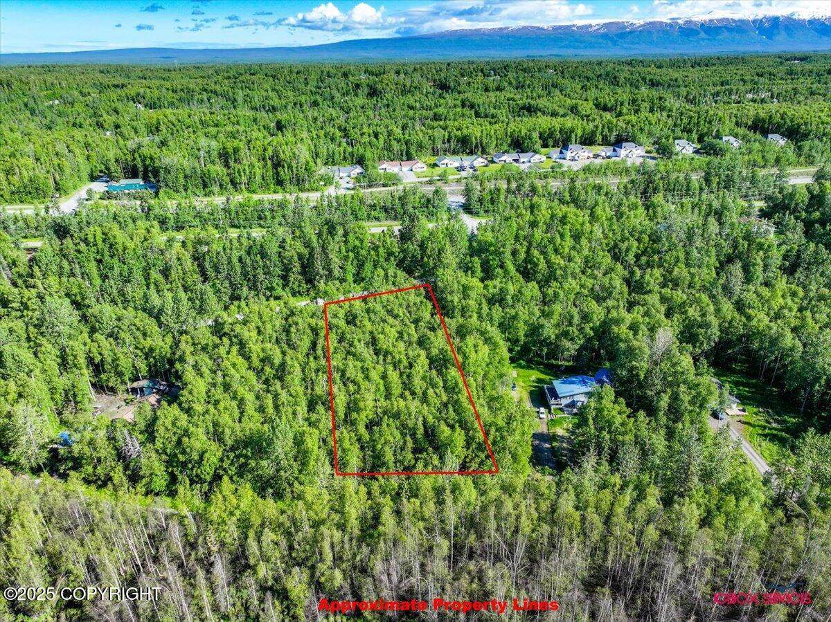 5601 Cape Birch Drive - Photo 1