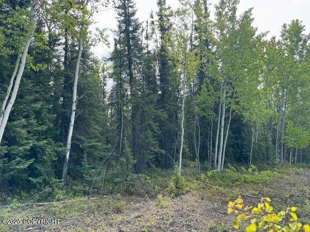 https://bt-photos.global.ssl.fastly.net/alaska/orig_boomver_1_25-7316-2.jpg
