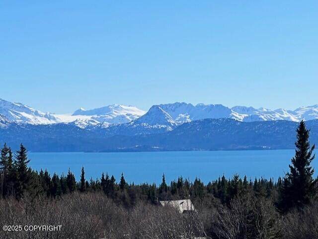 https://bt-photos.global.ssl.fastly.net/alaska/orig_boomver_1_25-7428-2.jpg