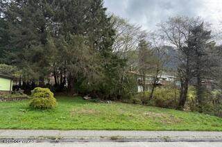 L54 Baranof Avenue - Photo 1