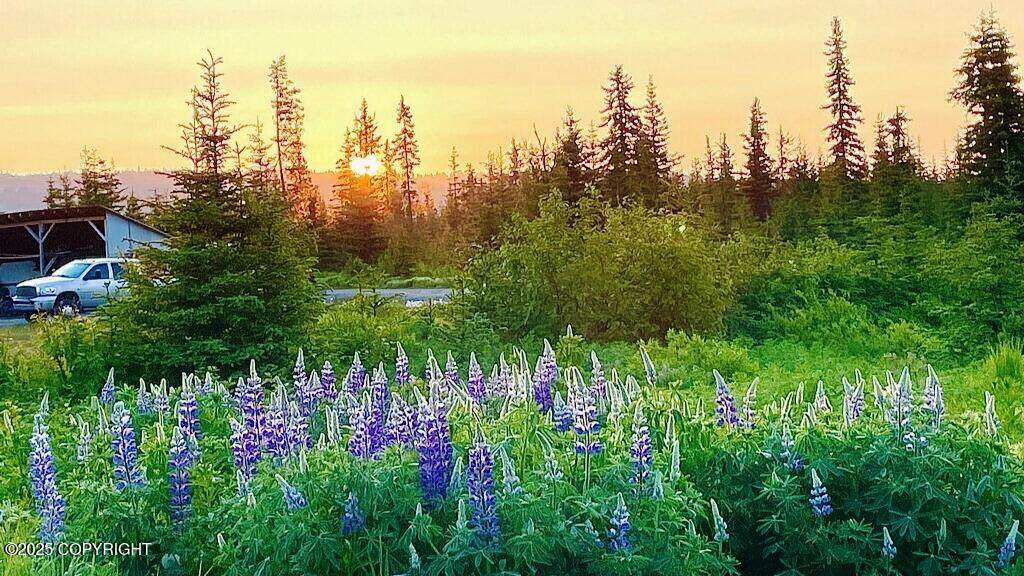https://bt-photos.global.ssl.fastly.net/alaska/orig_boomver_1_25-8363-2.jpg