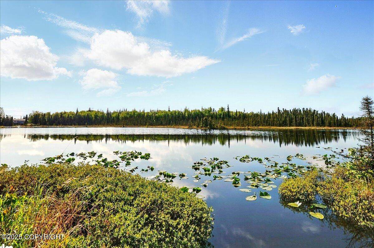 https://bt-photos.global.ssl.fastly.net/alaska/orig_boomver_1_25-8758-2.jpg