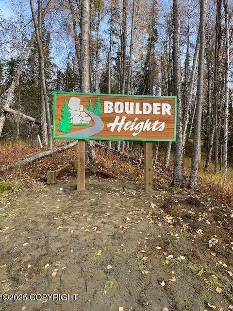 L11 Authentic Road - Photo 1