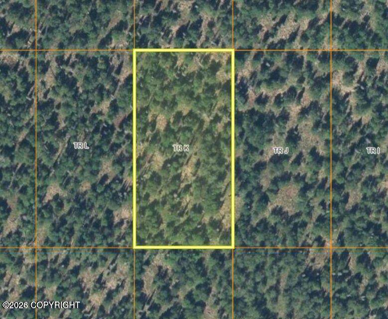 Tr K Alexander Creek Road - Photo 1