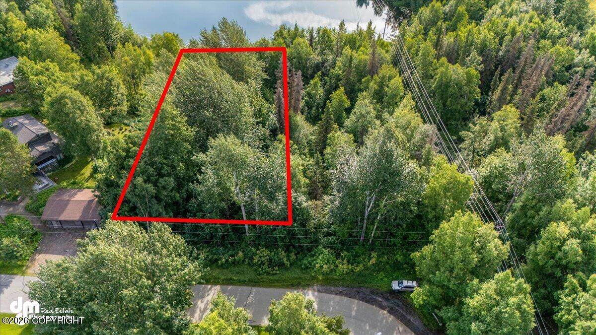 L09 B2 Dewberry Street - Photo 1