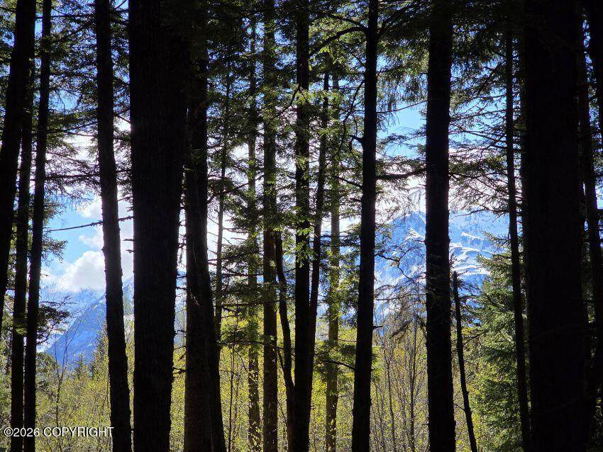 https://bt-photos.global.ssl.fastly.net/alaska/orig_boomver_1_26-5544-2.jpg
