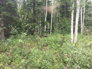 https://bt-photos.global.ssl.fastly.net/alaska/orig_boomver_1_26-5794-2.jpg