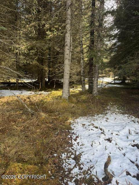 https://bt-photos.global.ssl.fastly.net/alaska/orig_boomver_1_26-5944-2.jpg