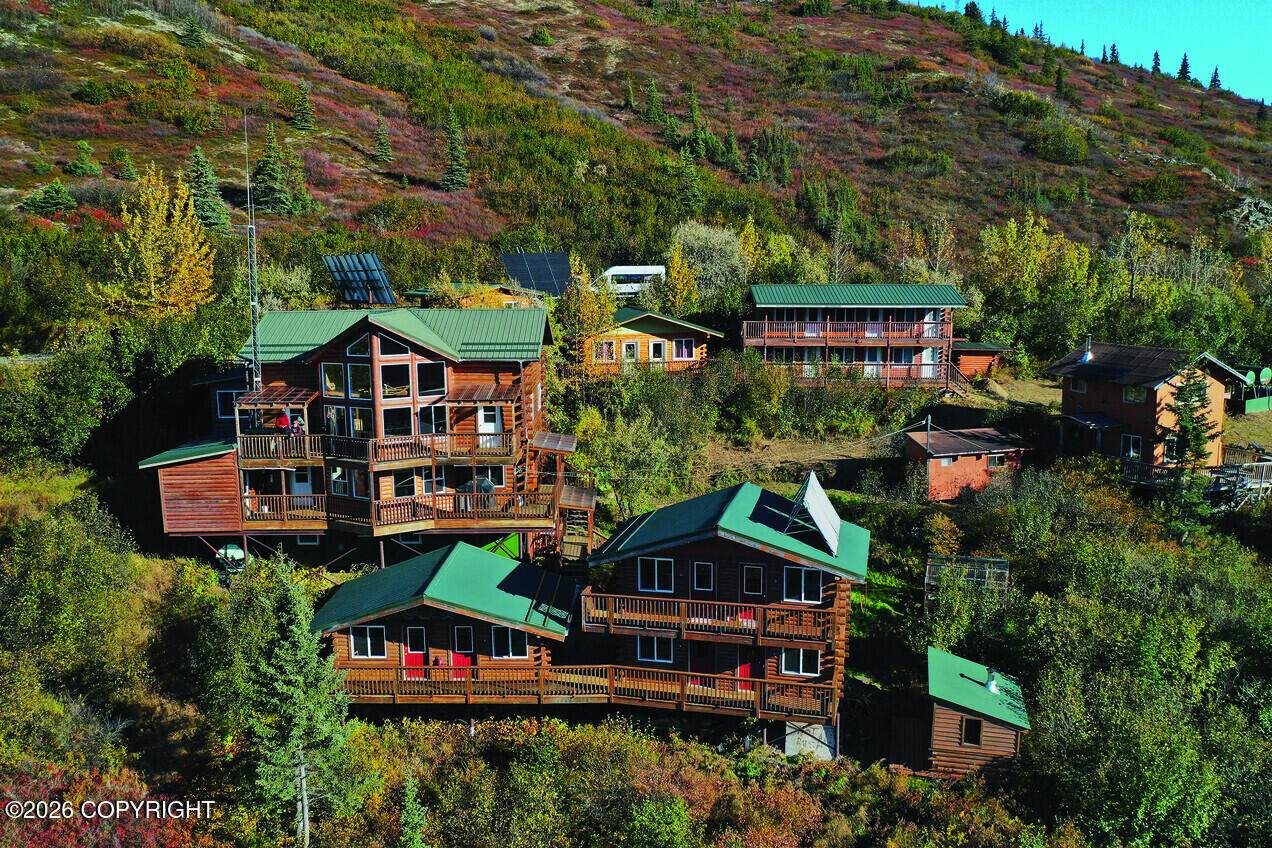 91.5 Denali Park Road - Photo 1