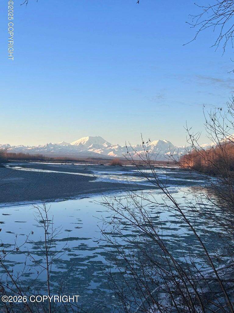23168 Talkeetna Spur Road - Photo 1