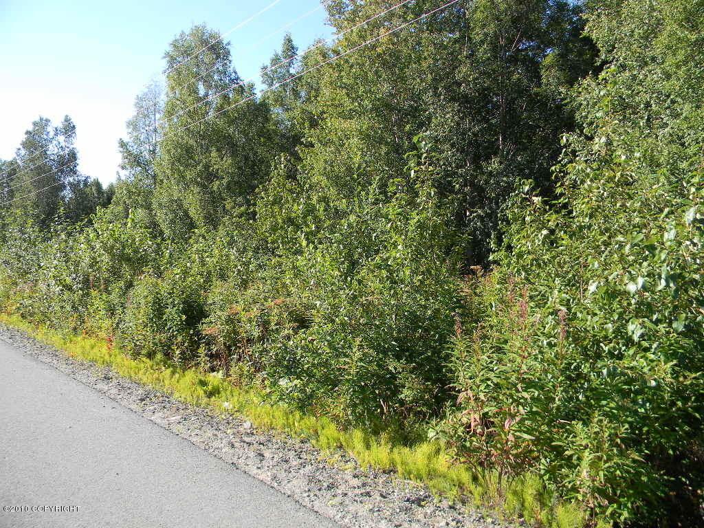 Mi 27.5 Kenai Spur Highway - Photo 1