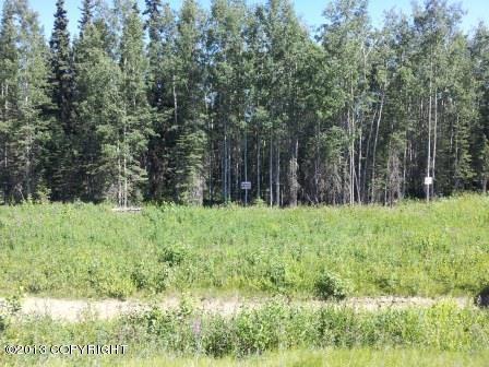 5876 Kenai Spur Highway - Photo 1