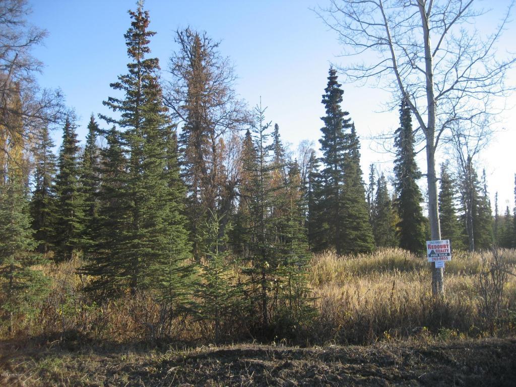 53747 Stol Road - Photo 1