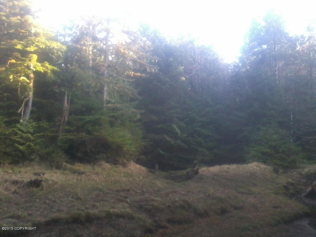 L2 B9 Coffman Cove - Photo 1