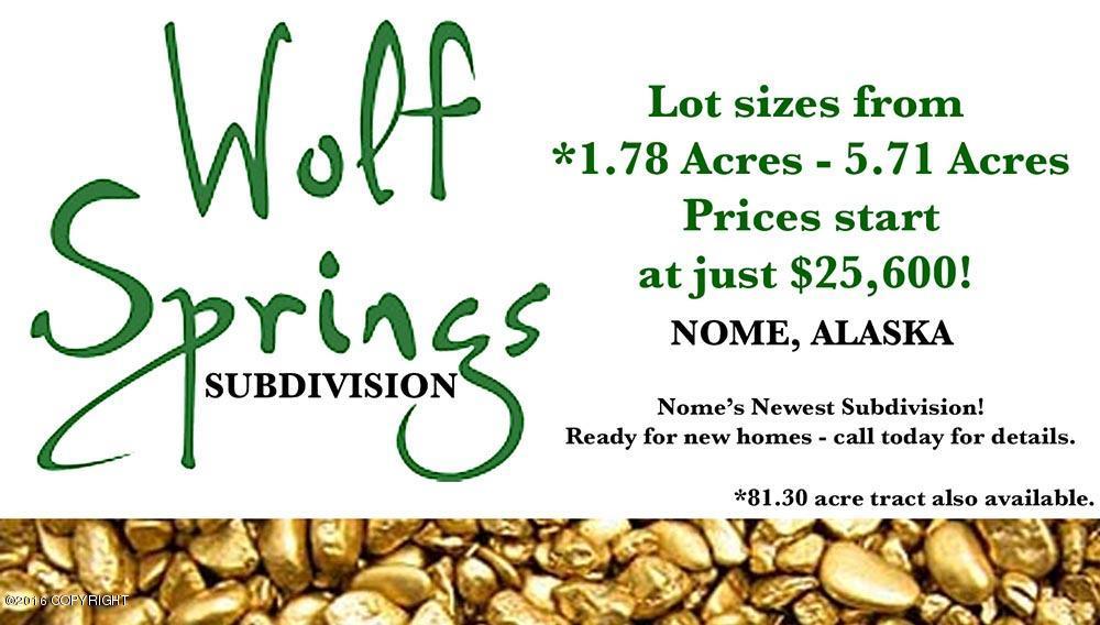 L3 B2 Wolf Springs - Photo 1