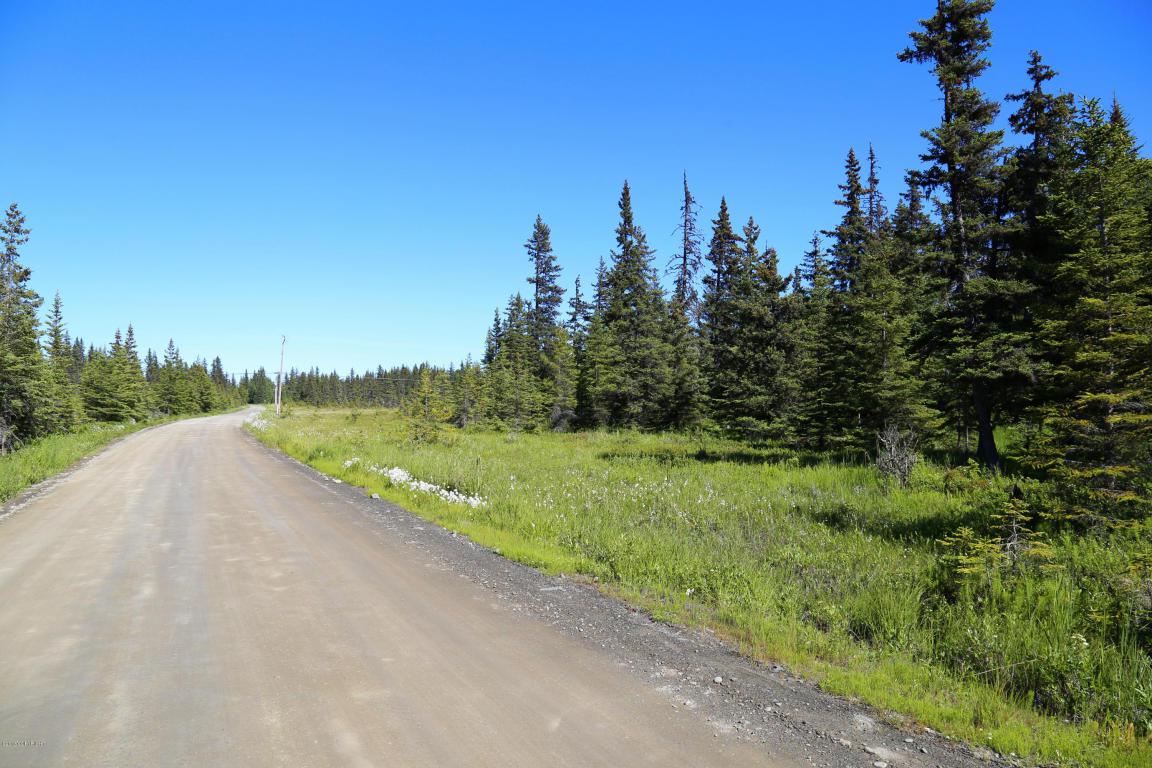 35196 Old Sterling Highway - Photo 1