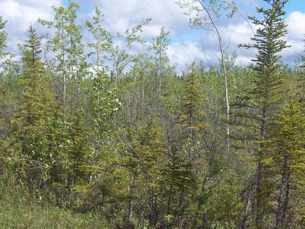 .5 Pipeline Access188.5 Glenn Highway - Photo 1
