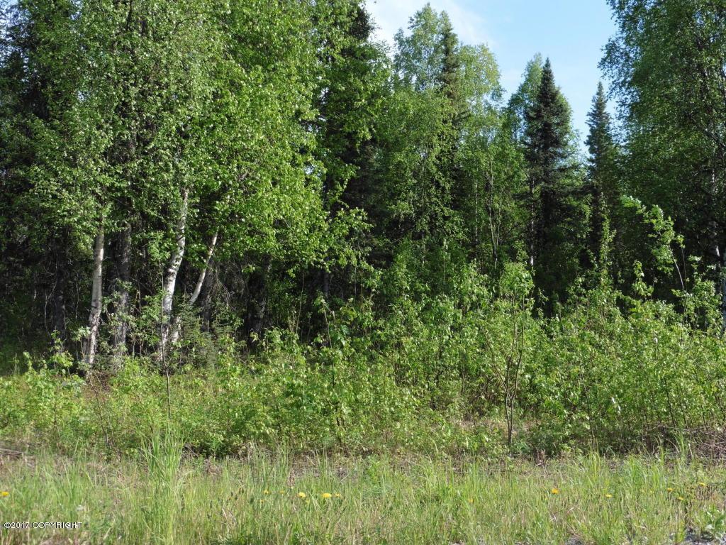 71347 Betula Circle - Photo 1