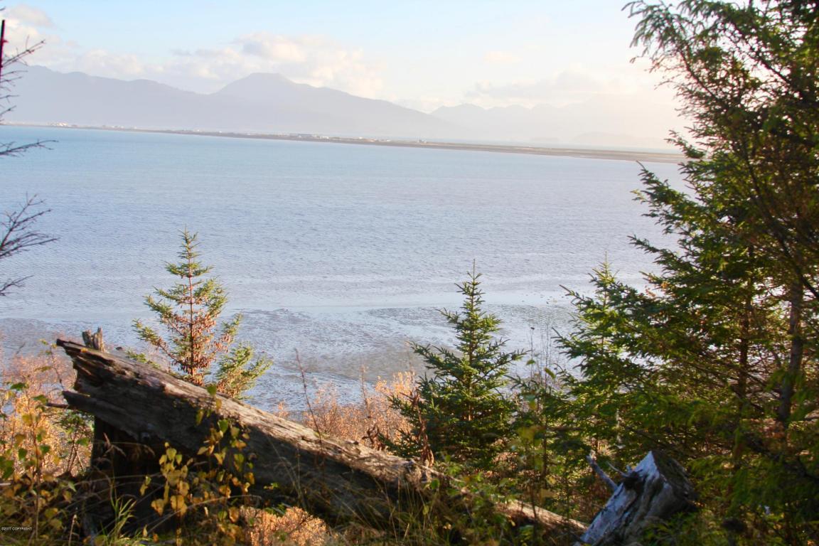 2885 Kachemak Drive - Photo 1