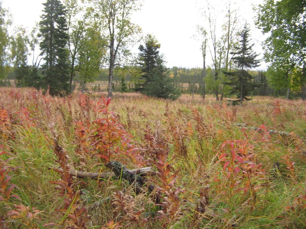 13750 North Bar Swamp Trail Rem Sm - Photo 1