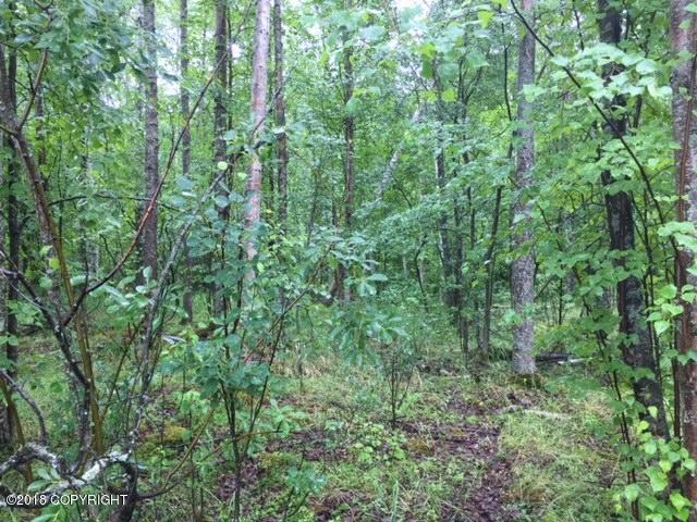 Tract A B1 Old Glenn Highway - Photo 1