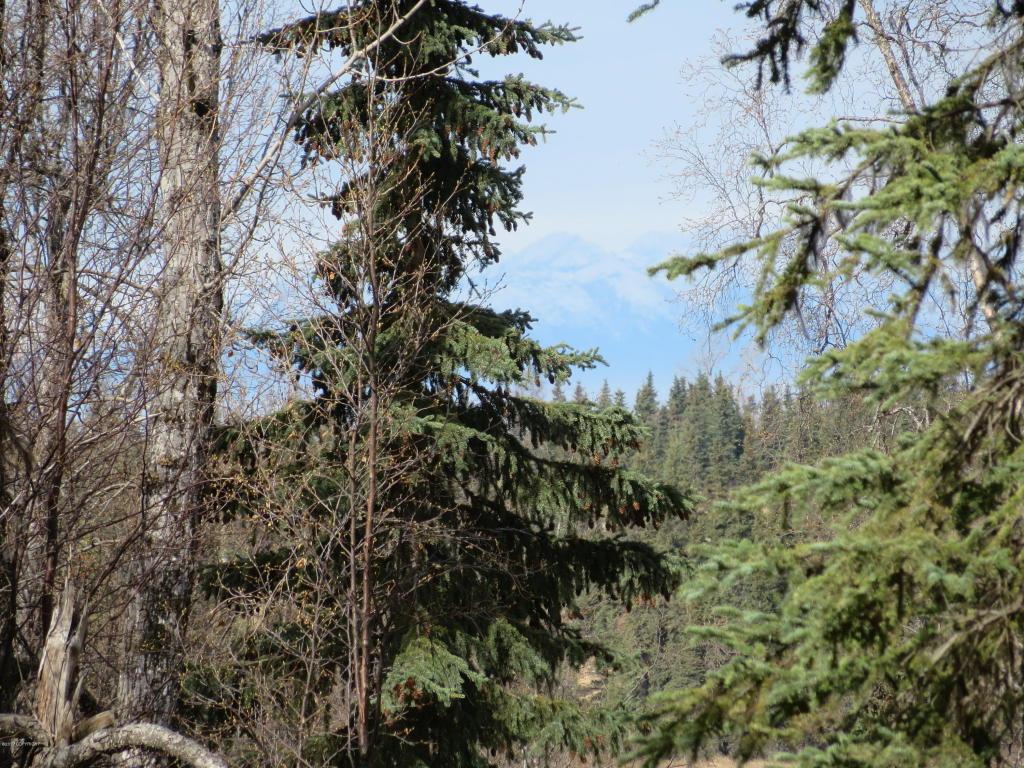 68840 Sterling Highway - Photo 1