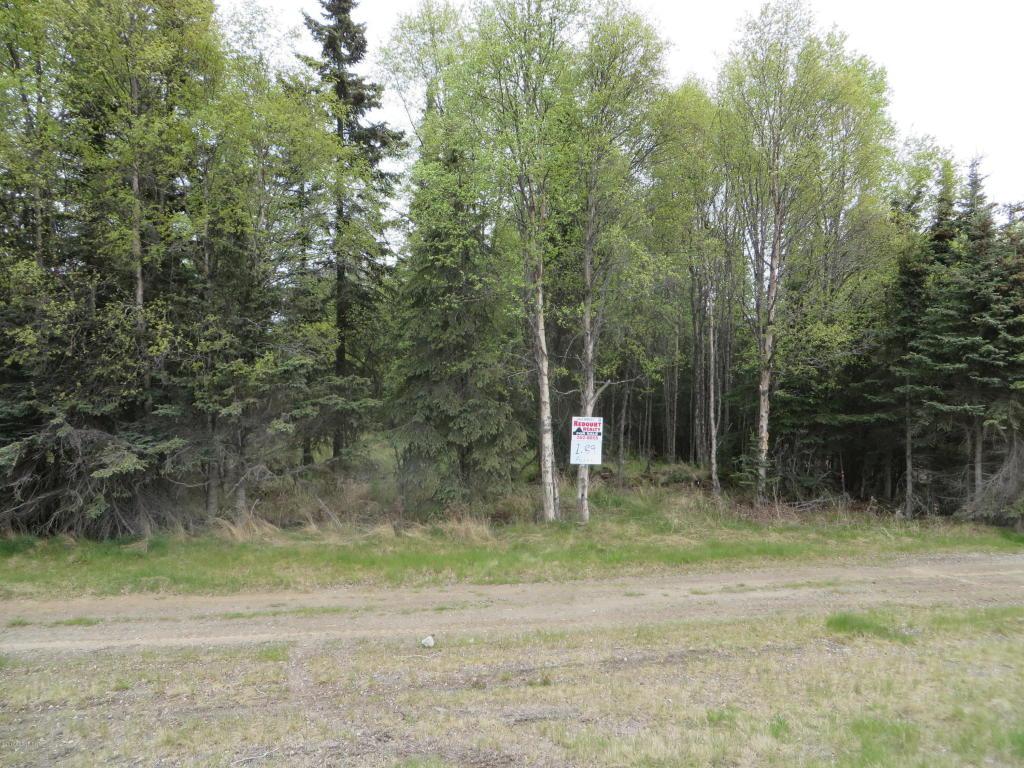14320 Kenai Spur Highway - Photo 1