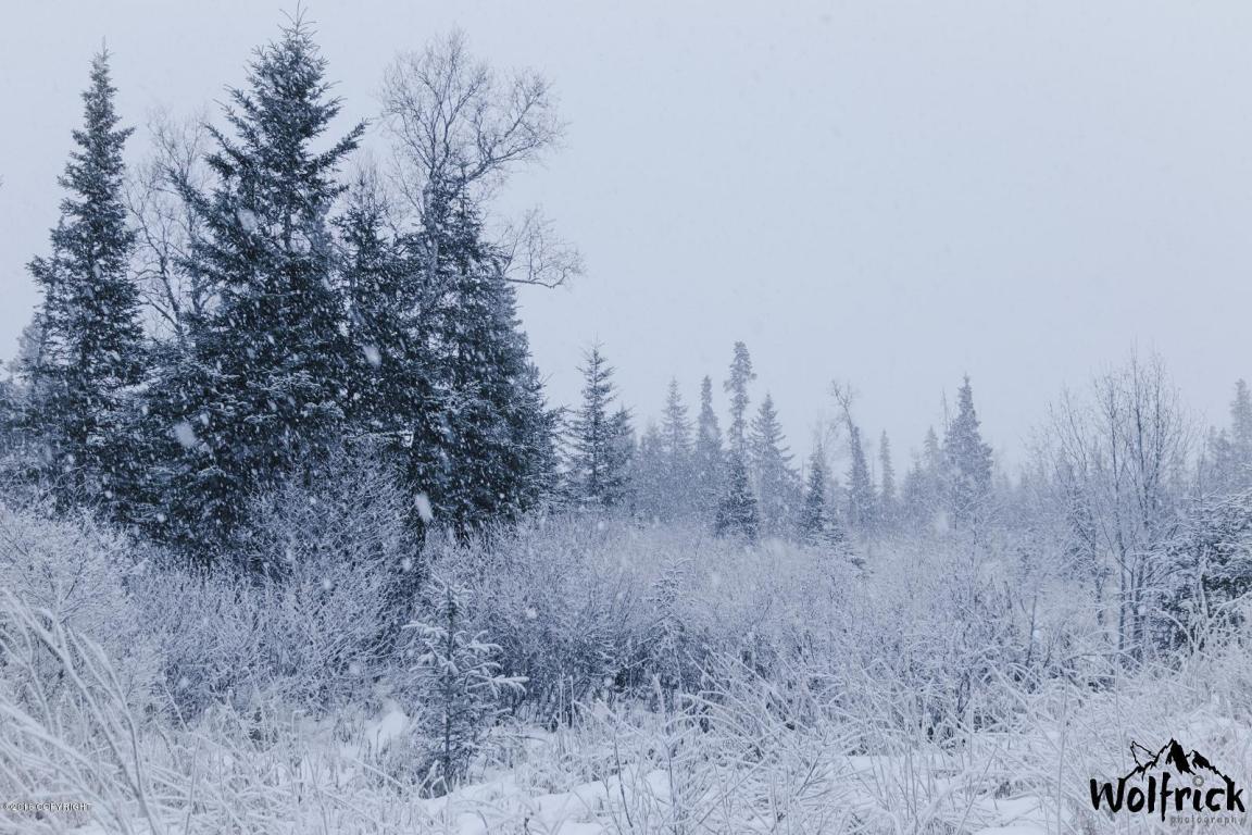 C32 Alaskan Wildwood Ranch(R) - Photo 1