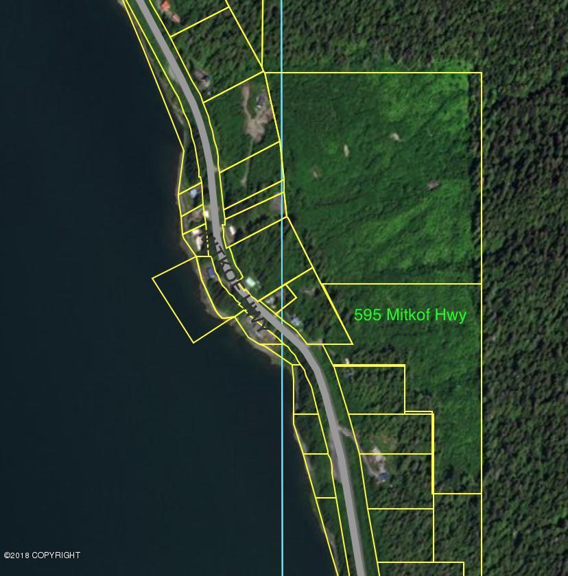 595 Mitkof Highway - Photo 1