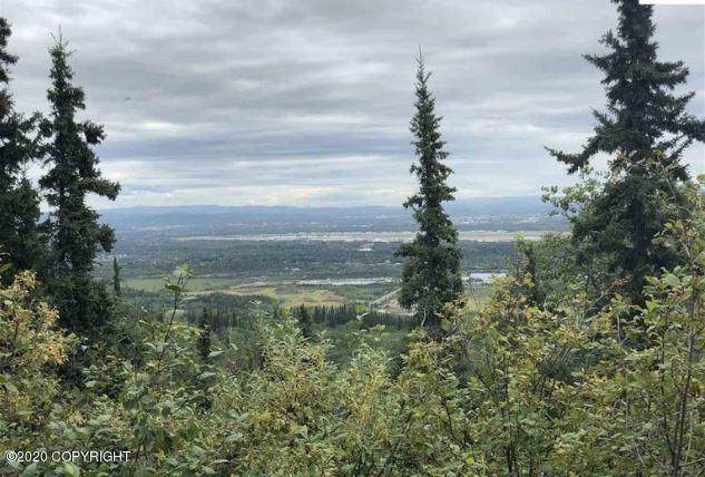 1454 Chena Ridge Road - Photo 1
