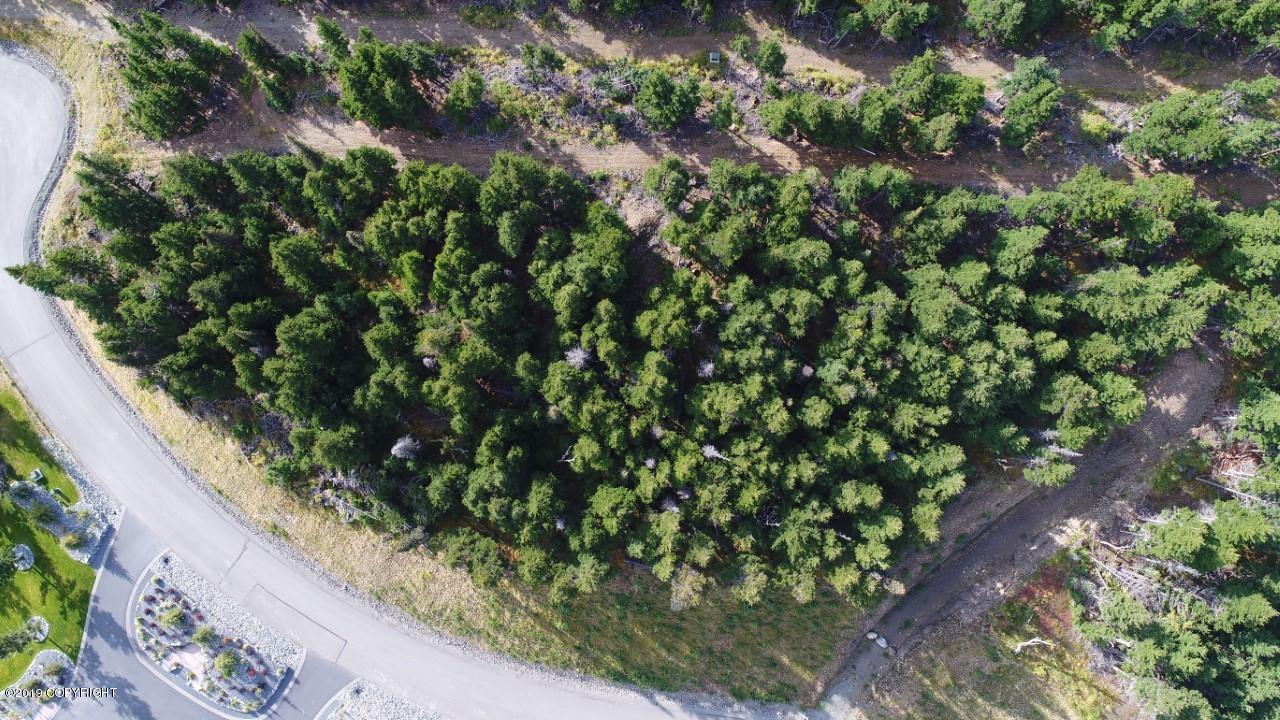 0000 Mountain Breeze Drive - Photo 1