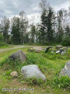 17005 Old Glenn Highway - Photo 1