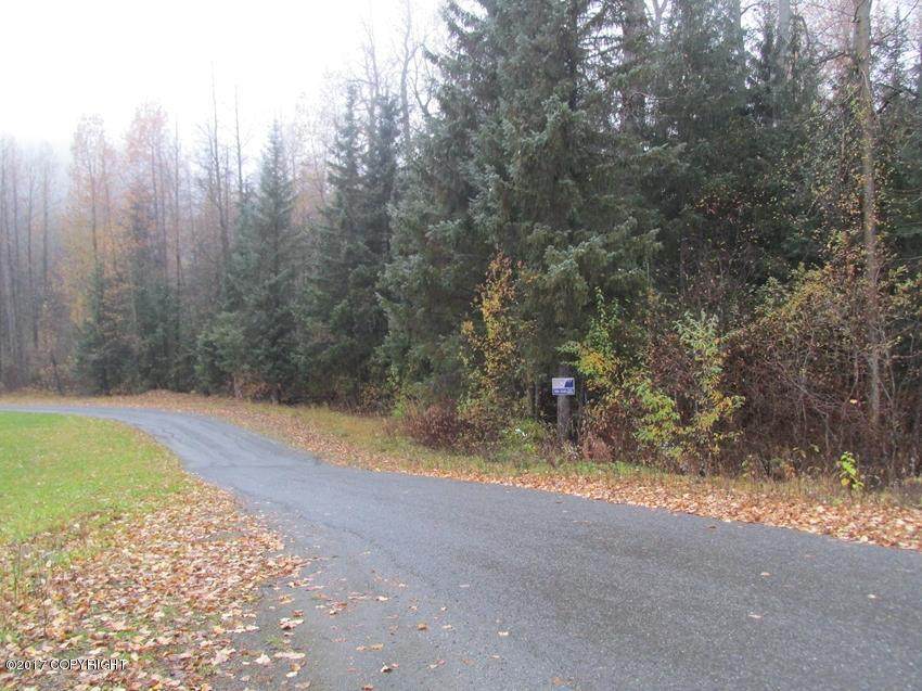 L9 White Beaver Way - Photo 1