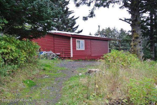 Tr D Spruce Island - Photo 1