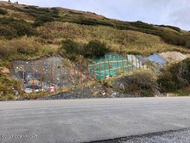 9250 Rezanof Drive - Photo 1