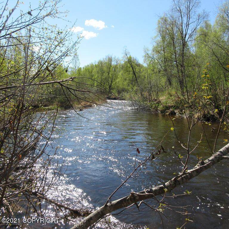 53444 Parks Highway - Photo 1