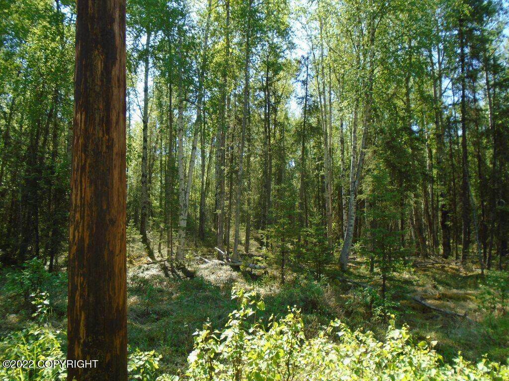 B001 Skyview Drive - Photo 1