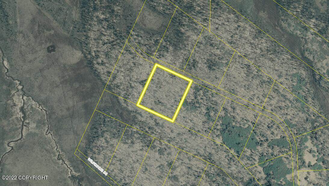 000 Moosehorn Road - Photo 1