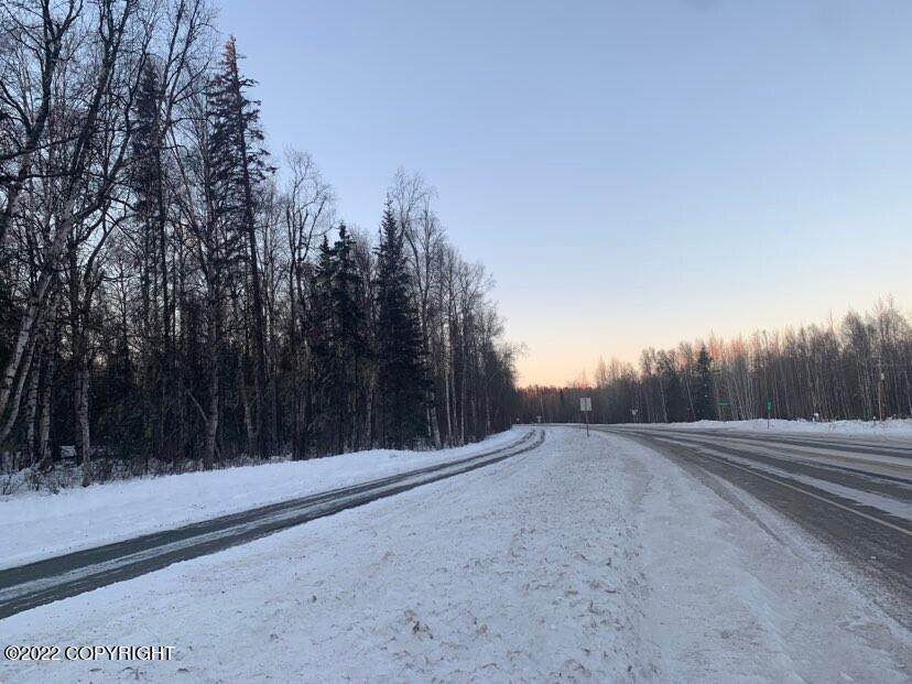 25212 Talkeetna Spur Road - Photo 1