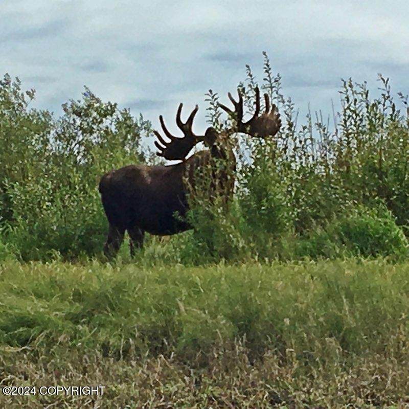 https://bt-photos.global.ssl.fastly.net/alaska/orig_boomver_2_24-14242-2.jpg